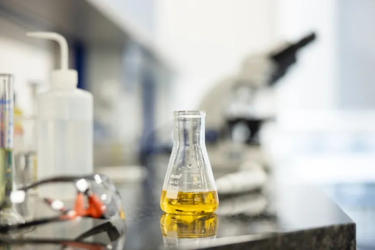 Ekokosmetyka | Studia I stopnia w Chorzowie | Uniwersytet WSB Merito Chorzów: Kolba chemiczna z roztworem