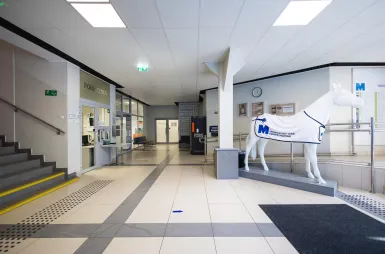 Search results | WSB Merito Poznań University: Poznań budynek CP