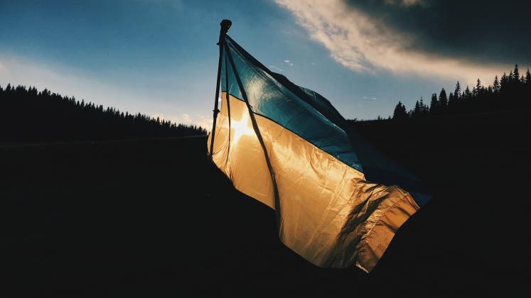 ukraina flaga las 