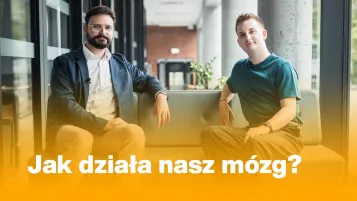 Nasze wartości | Uniwersytet WSB Merito: Jak działa nasz mózg?