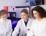 Uniwersytety WSB Merito na czołowych miejscach w rankingach regionalnych! | Aktualności | Uniwersytet WSB Merito Szczecin: MeritoLab dotacja
