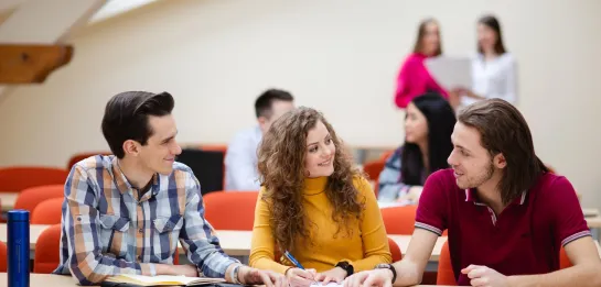 Studia II stopnia w Toruniu | Uniwersytet WSB Merito w Toruniu: Główna grafika