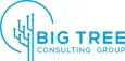 Akademia Startup Management | Studia podyplomowe w Toruniu | Uniwersytet WSB Merito w Toruniu: Big Tree Consulting Group logo