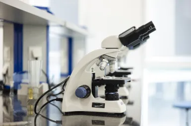 Laboratoria i pracownie | Uniwersytet WSB Merito we Wrocławiu: sprzęt w laboratorium chemii, biochemii i mikrobiologii