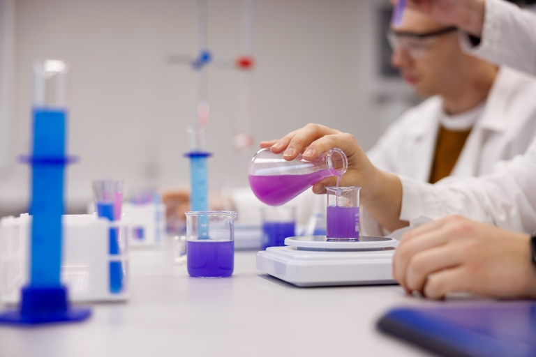 Dietetyka kliniczna i dietoterapia chorób niezakaźnych | Studia II stopnia we Wrocławiu | Uniwersytet WSB Merito we Wrocławiu: studenci na zajęciach z reakcji